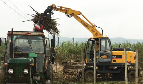 广西轮式抓木机 广西轮式抓木机