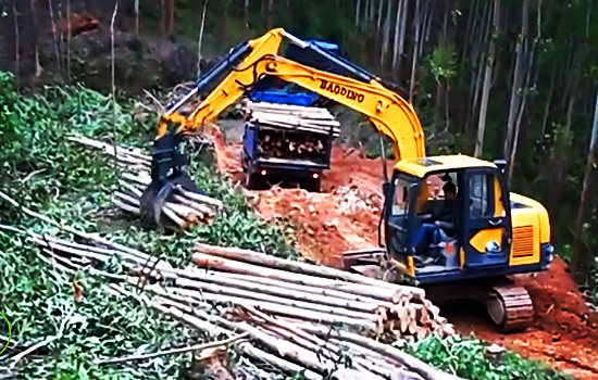 宝鼎抓木机 宝鼎抓木机