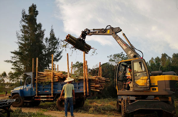 轮式挖掘机抓木作业.jpg 轮式挖掘机抓木作业.jpg