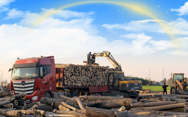 宝鼎抓木机95车型.jpg 宝鼎抓木机95车型.jpg