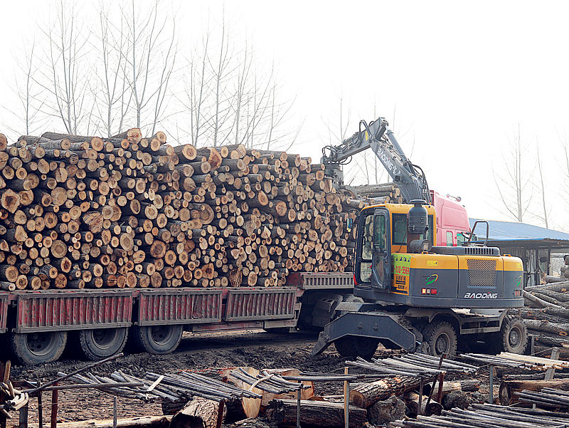 轮式抓木机 轮式抓木机