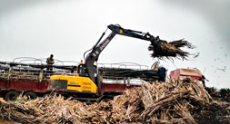 广西抓木机市场宝鼎抓木机销量再创新高
